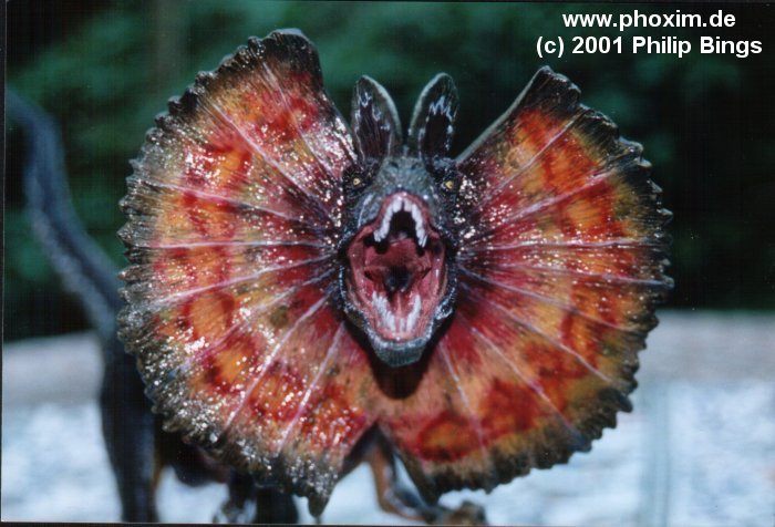 philip_bings_dilophosaurus1.jpg